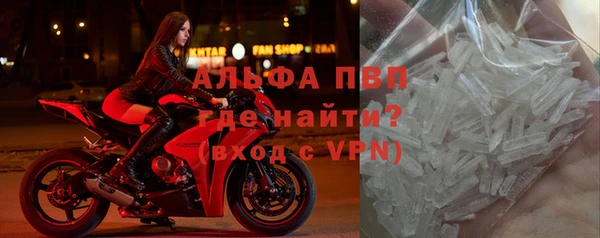 сатива Иннополис