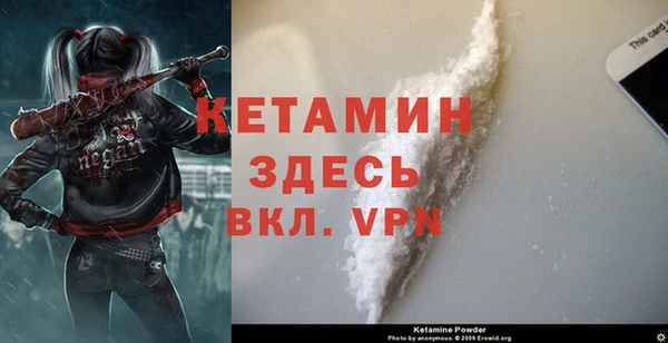 дмт Инта