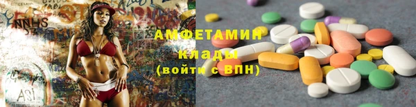 сатива Иннополис