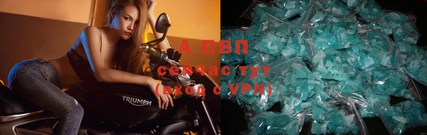 дмт Инта