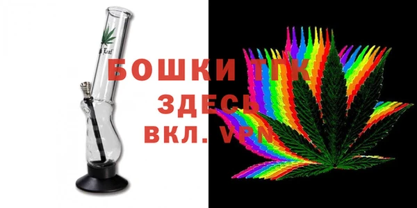 mdpv Инсар