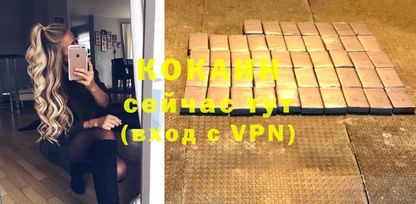 дмт Инта
