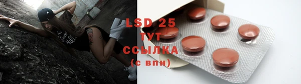 mdpv Инсар