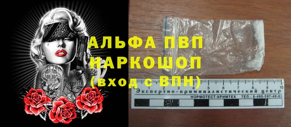 дмт Инта