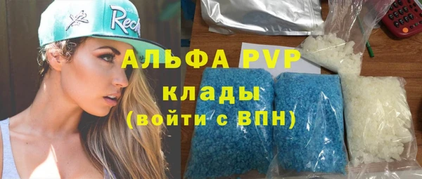 дмт Инта