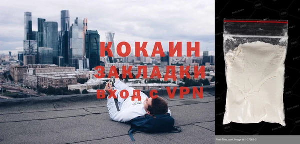 дмт Инта