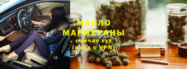 дмт Инта