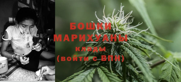 сатива Иннополис
