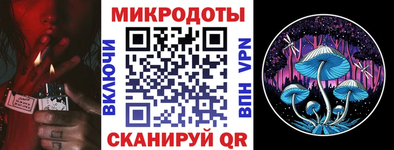 Купить где Лагань Галлюциногенные грибы Cubensis